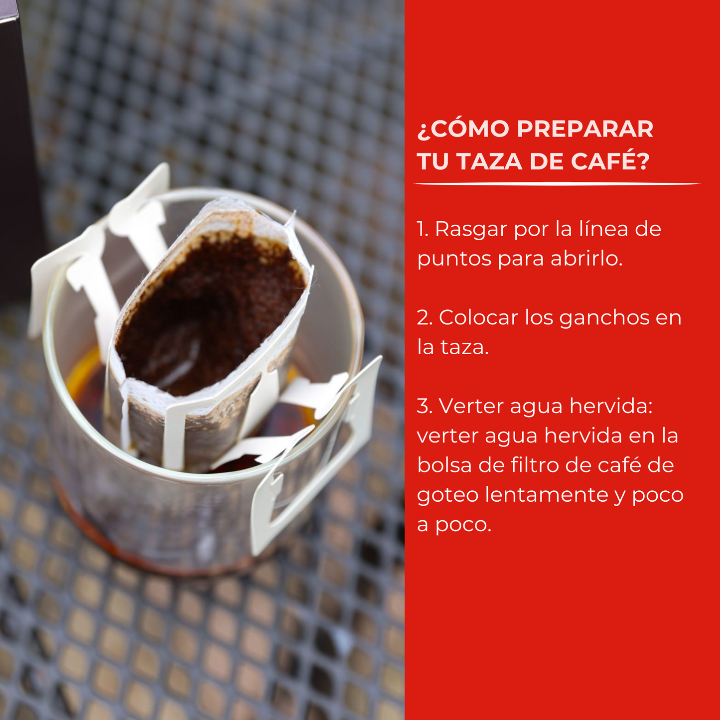 Drip Coffee Filter Box of 10 Filters